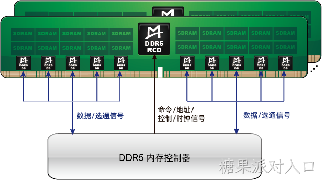 M88DR5DB01 (Gen1 DDR5 DB)